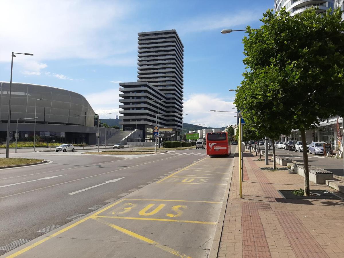 Cherry & Free Parking Apartament